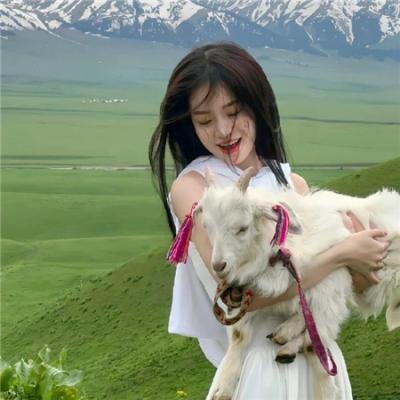 如蝶翩翩 封面