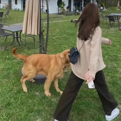 白狐·情缘 封面